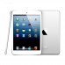 Apple iPad mini Wi-Fi - 16GB